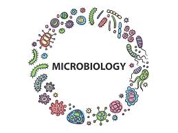 MICROBIOLOGY LOGO